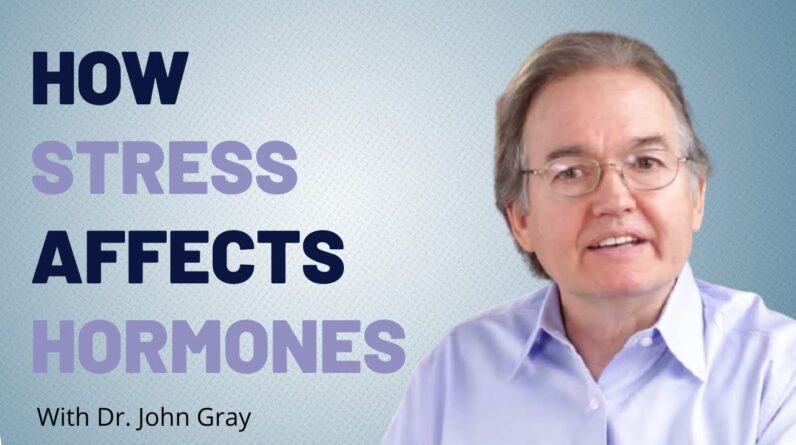 How Stress Affects Your Hormones with John Gray