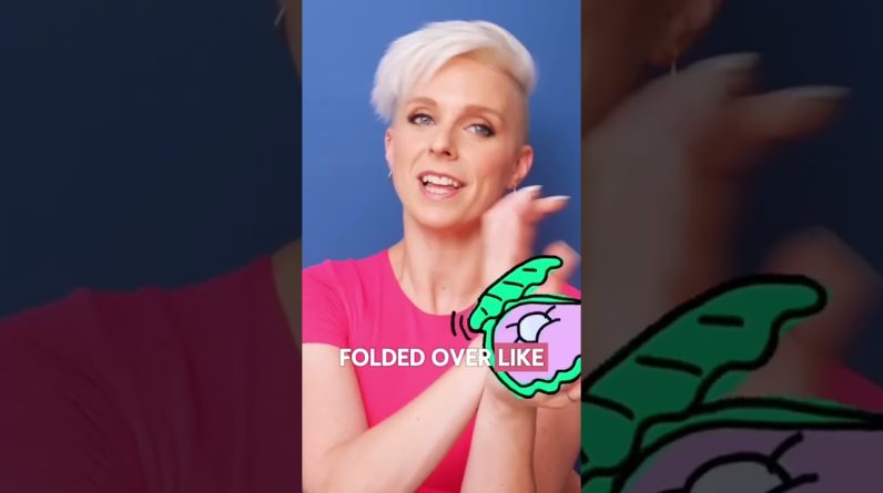 Seashell. Deep. Intimate.